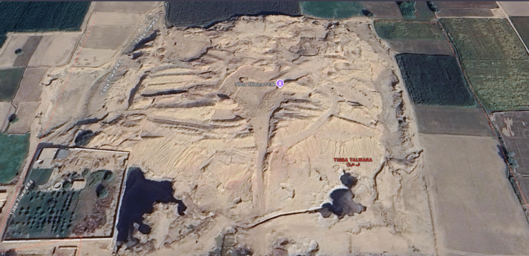 Satellite view of Tibba Talwara, a 6th-century fort ruin near Haveli Naseer Khan in Lodhran, Pakistan, showing eroded brick mounds surrounded by green farmlands and the winding Sutlej River in the background.